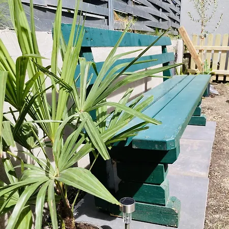 Apartment City Oasis